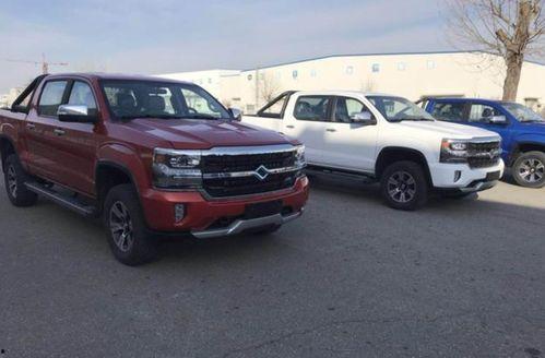 国产猛禽之王视频播放在线观看,空中霸主震撼来袭，在线观看不容错过！