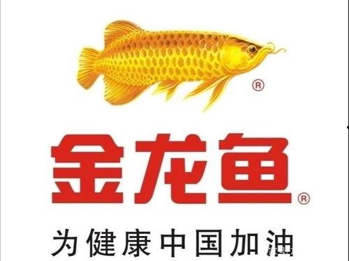 国产金龙鱼繁殖视频大全,国产金龙鱼繁殖视频大全赏析