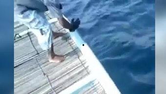 国产金枪鱼钓鱼视频,畅享海洋捕捞的激情与乐趣