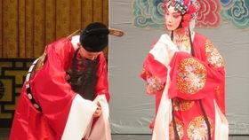 京剧国产旦角扮相图视频,传统艺术与现代视觉的完美融合