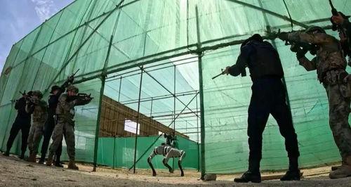 国产机器狗背枪视频大全,智能战力新篇章