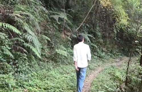 国产农村野外视频一级